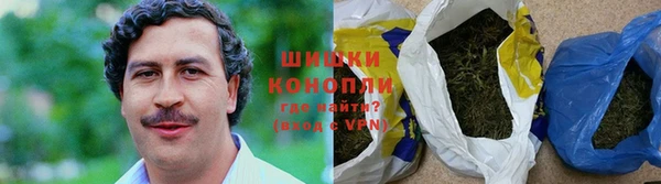 бошки Гусев