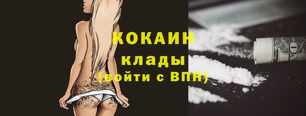 бошки Гусев