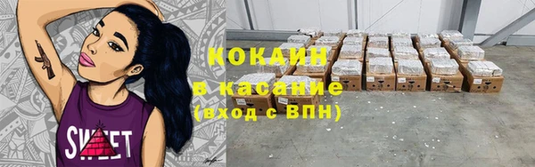 бошки Гусев