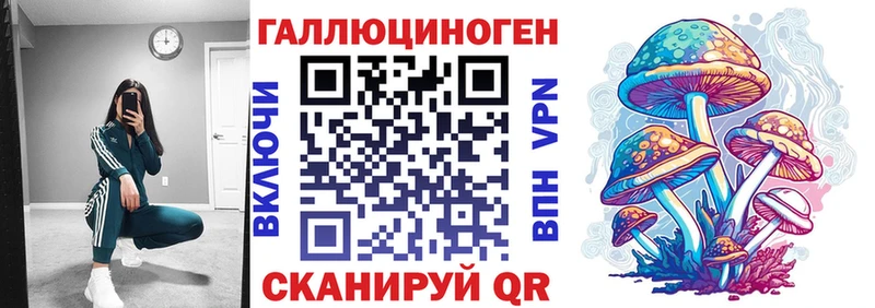 Псилоцибиновые грибы Magic Shrooms  omg зеркало  Дигора  где можно купить  